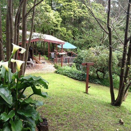 Stone'S Throw Cottage Bed And Breakfast เบลเกรฟ ภายนอก รูปภาพ