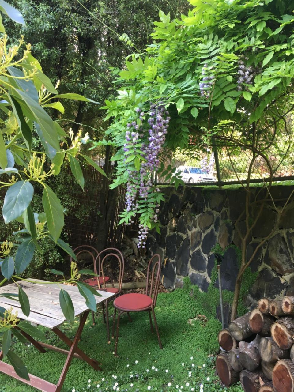 Stone'S Throw Cottage Bed And Breakfast เบลเกรฟ ภายนอก รูปภาพ